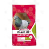 VL Holuby Superstar Plus I.C.+ vdovci 20 kg