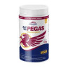 VITAR Veterinae Artivit Pegas MSM 720g pre kone a veľké plemená psov