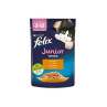 Nestlé FELIX Fantastic mačje junior piščanec v želeju vrečka 26x85 g