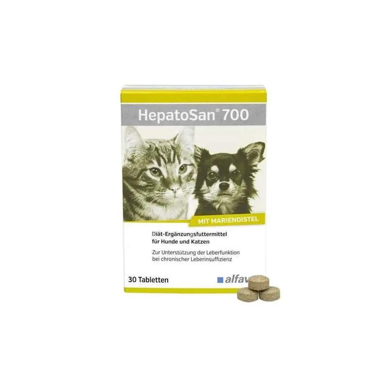 HepatoSan 700 mg 21 g (30 ks)