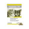 HepatoSan 700 mg 21 g (30 ks)