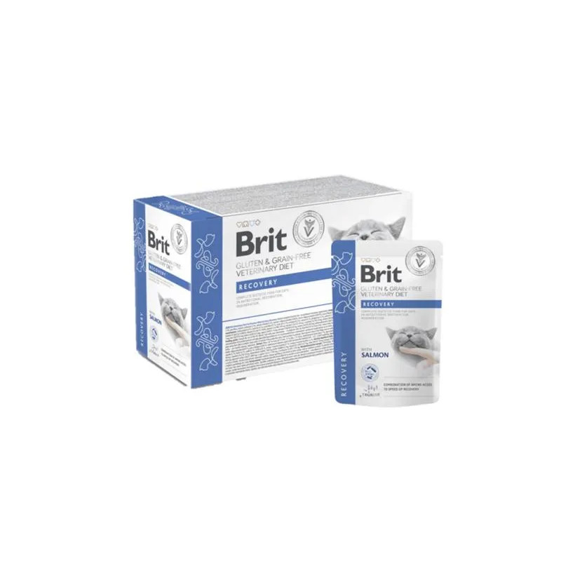 Brit VD Gluten & Grain-Free Cat Pouch Fillets in Gravy Recovery 12 x 85 g