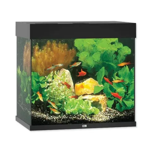 Akvarijski set Juwel Lido LED 120 črn 61x41x58 cm 120 l