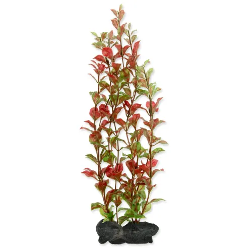 Tetra Red Ludwigia – rastlinska dekoracija, velikost L (30 cm)
