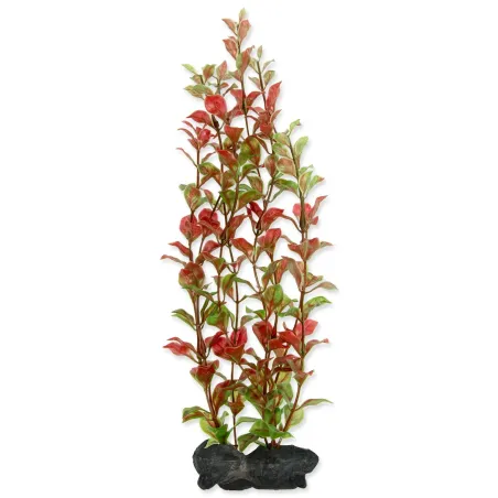 Tetra Red Ludwigia – rastlinska dekoracija, velikost L (30 cm)
