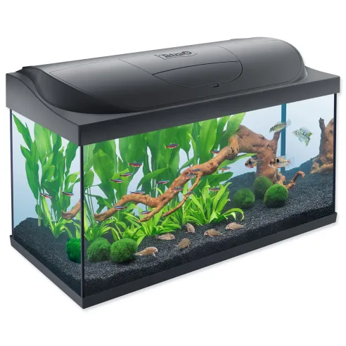 Akvarijski komplet Tetra Starter line LED 76x47x38 cm 105 l