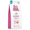 Hrana Brit Care Dog brez žitaric za mladiče, losos 12 kg