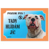 Tabla Dafiko ameriški buldog