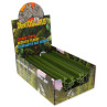 Display Dentosaurus palica s klorofilom L 21 cm 20 kos