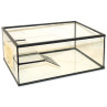 Terarij za želve Ante 37,5 l, 50 x 30 x 25 cm, 4 mm