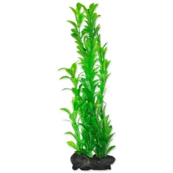 Tetra Hygrophila – okrasna rastlina (velikost L, 30 cm)