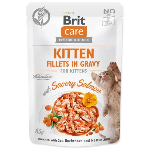 Brit Care Cat Kitten, fileti v omaki, okusni losos 85 g