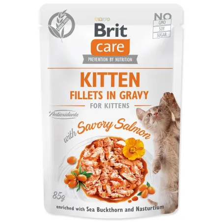 Brit Care Cat Kitten, fileti v omaki, okusni losos 85 g