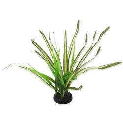 Dekoracija Repti Planet rastlina trava Spartina 30 cm