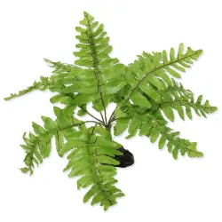 Dekoracija Repti Planet rastlina praprot Nephrolepis 20 cm