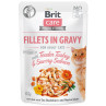 Vrečka Brit Care Cat puran in losos, fileti v omaki 85 g