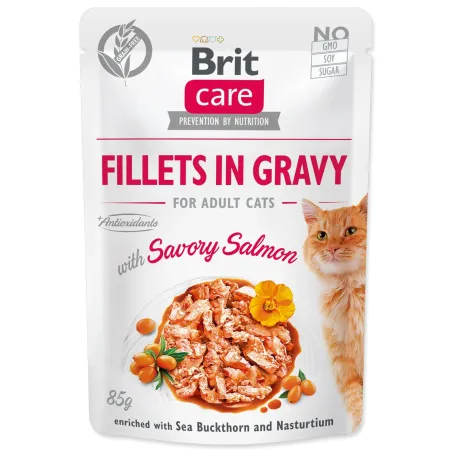 Vrečka Brit Care Cat losos, fileti v omaki 85 g