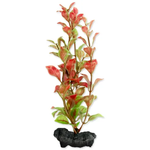 Dekoracija Tetra Rastlina Red Ludwigia S 15cm