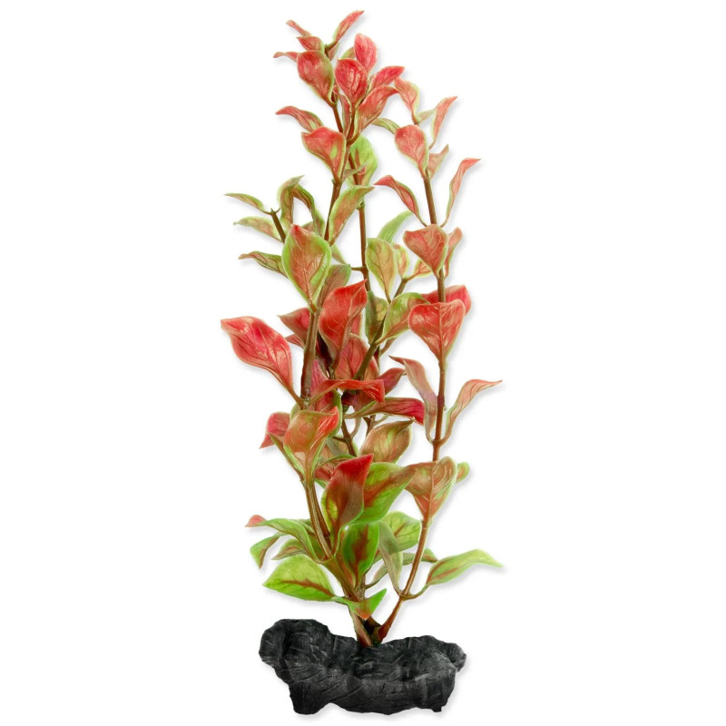 Dekoracija Tetra Rastlina Red Ludwigia S 15cm