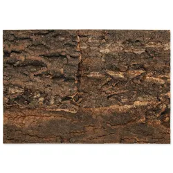 Ozadje Repti Planet naravna pluta 28,5x41x2cm