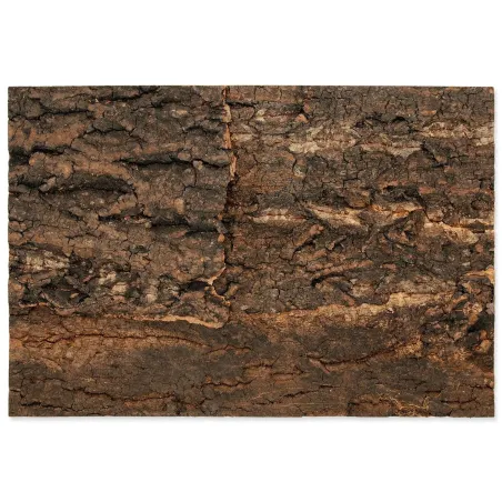 Ozadje Repti Planet naravna pluta 28,5x41x2cm