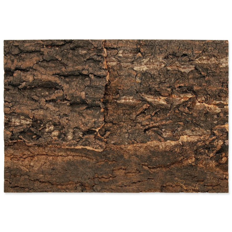 Ozadje Repti Planet naravna pluta 28,5x41x2cm