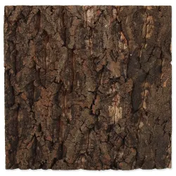 Ozadje Repti Planet pluta naravna 28,5x28x2cm