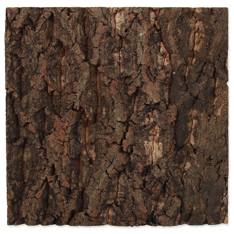 Ozadje Repti Planet pluta naravna 28,5x28x2cm
