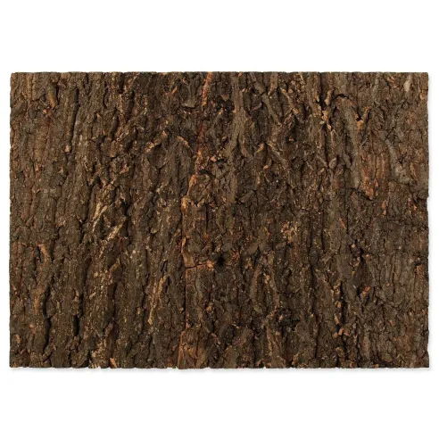 Ozadje Repti Planet naravna pluta 58,5x41x2cm
