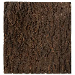 Ozadje Repti Planet naravna pluta 43,5x41x2cm