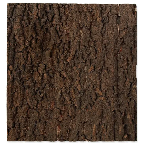 Ozadje Repti Planet naravna pluta 43,5x41x2cm