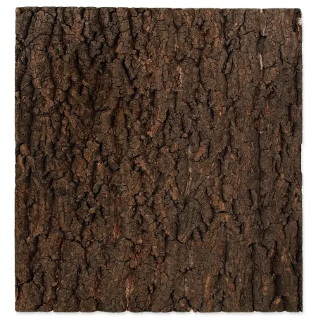 Ozadje Repti Planet naravna pluta 43,5x41x2cm