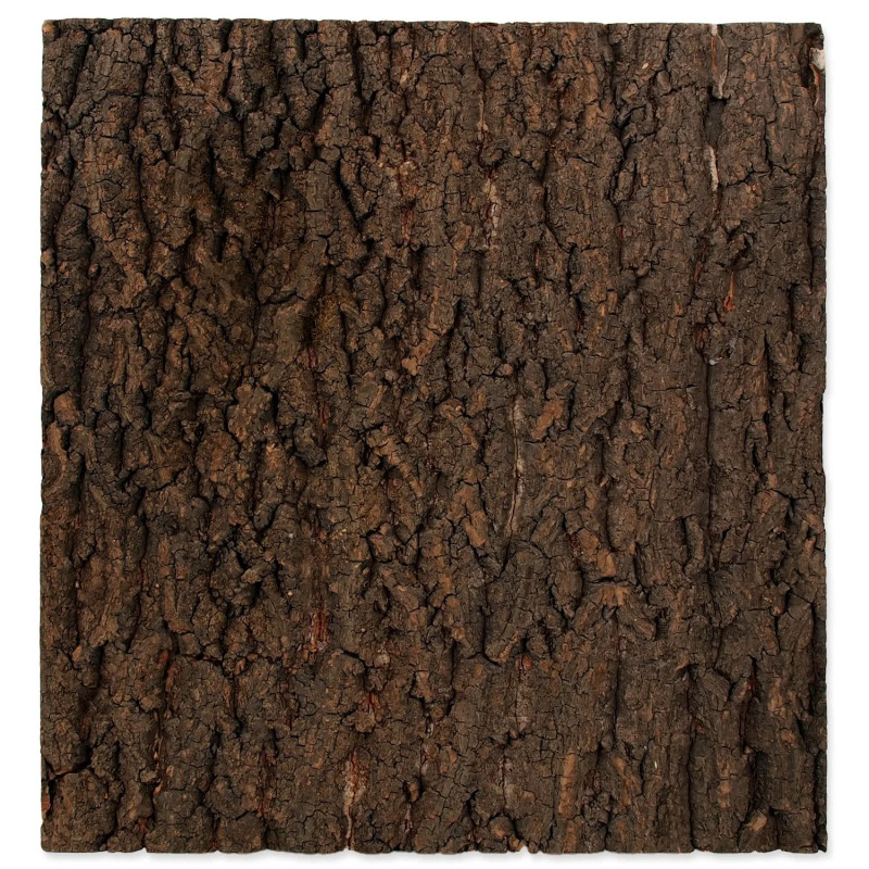 Ozadje Repti Planet naravna pluta 43,5x41x2cm