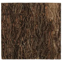 Ozadje Repti Planet pluta naravna 58,5x56x2cm