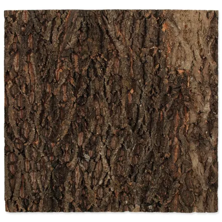 Ozadje Repti Planet pluta naravna 58,5x56x2cm