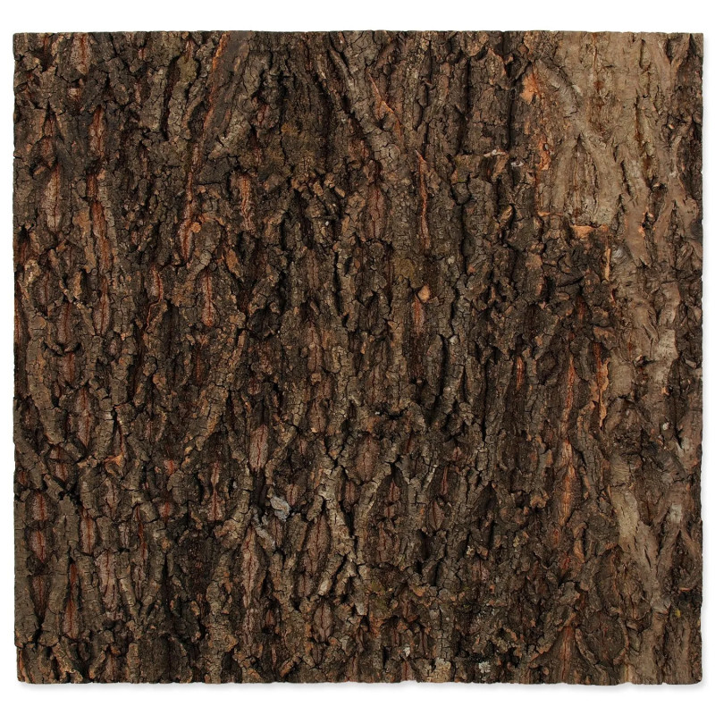 Ozadje Repti Planet pluta naravna 58,5x56x2cm