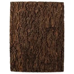 Ozadje Repti Planet iz plute, naravno 43,5x56x2cm