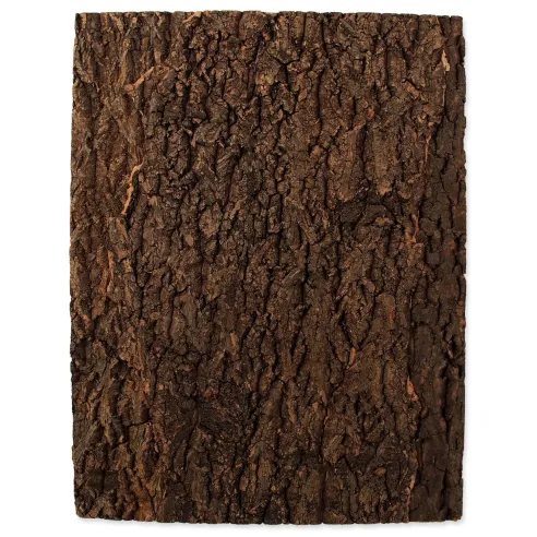 Ozadje Repti Planet iz plute, naravno 43,5x56x2cm