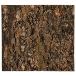 Ozadje Repti Planet pluta naravna 29x27,3x2cm