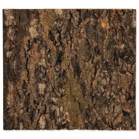 Ozadje Repti Planet pluta naravna 29x27,3x2cm