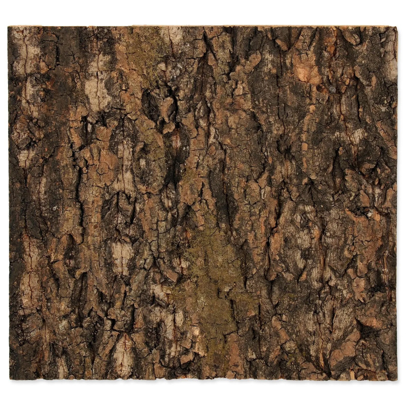Ozadje Repti Planet pluta naravna 29x27,3x2cm