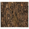 Ozadje Repti Planet pluta naravna 29x27,3x2cm