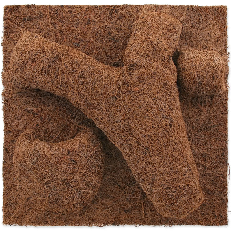 Ozadje Repti Planet Coco Planter 30x30cm