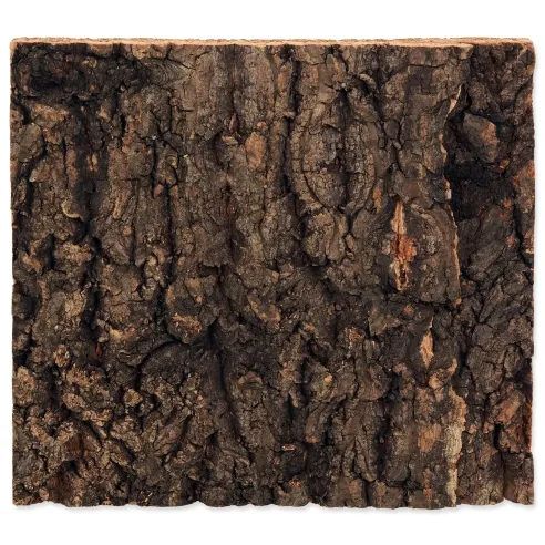 Ozadje Repti Planet pluta naravno 19x17,3x2cm