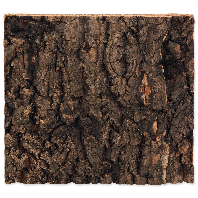 Ozadje Repti Planet pluta naravno 19x17,3x2cm
