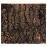 Ozadje Repti Planet pluta naravno 19x17,3x2cm