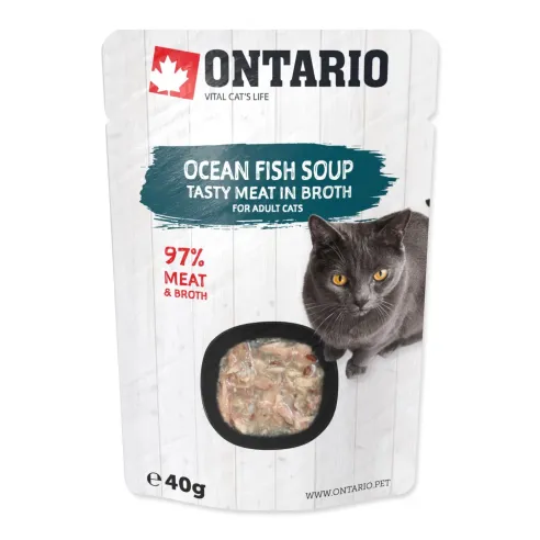 Juha Ontario morske ribe 40 g