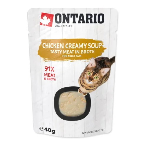 Juha Ontario piščanec s sirom 40 g