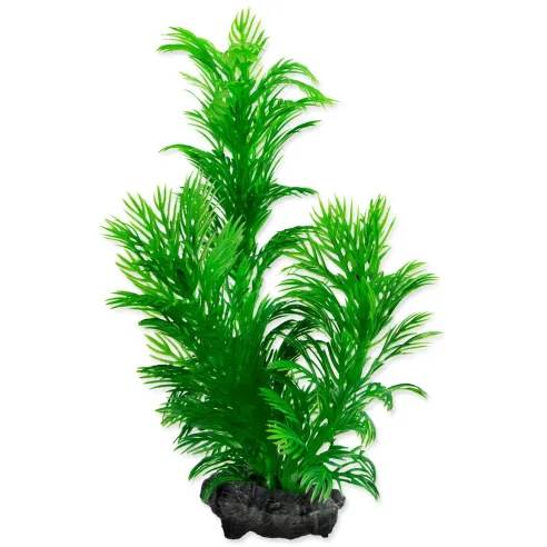 Tetra Green Cabomba – okrasna rastlina, velikost S (15 cm)