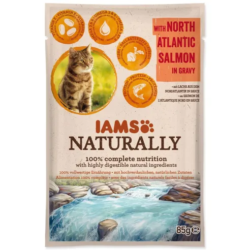 IAMS Cat Adult losos v omaki 85 g